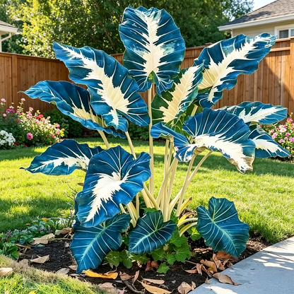 Giant Caladium Seeds – 500 Colorful Garden Seeds